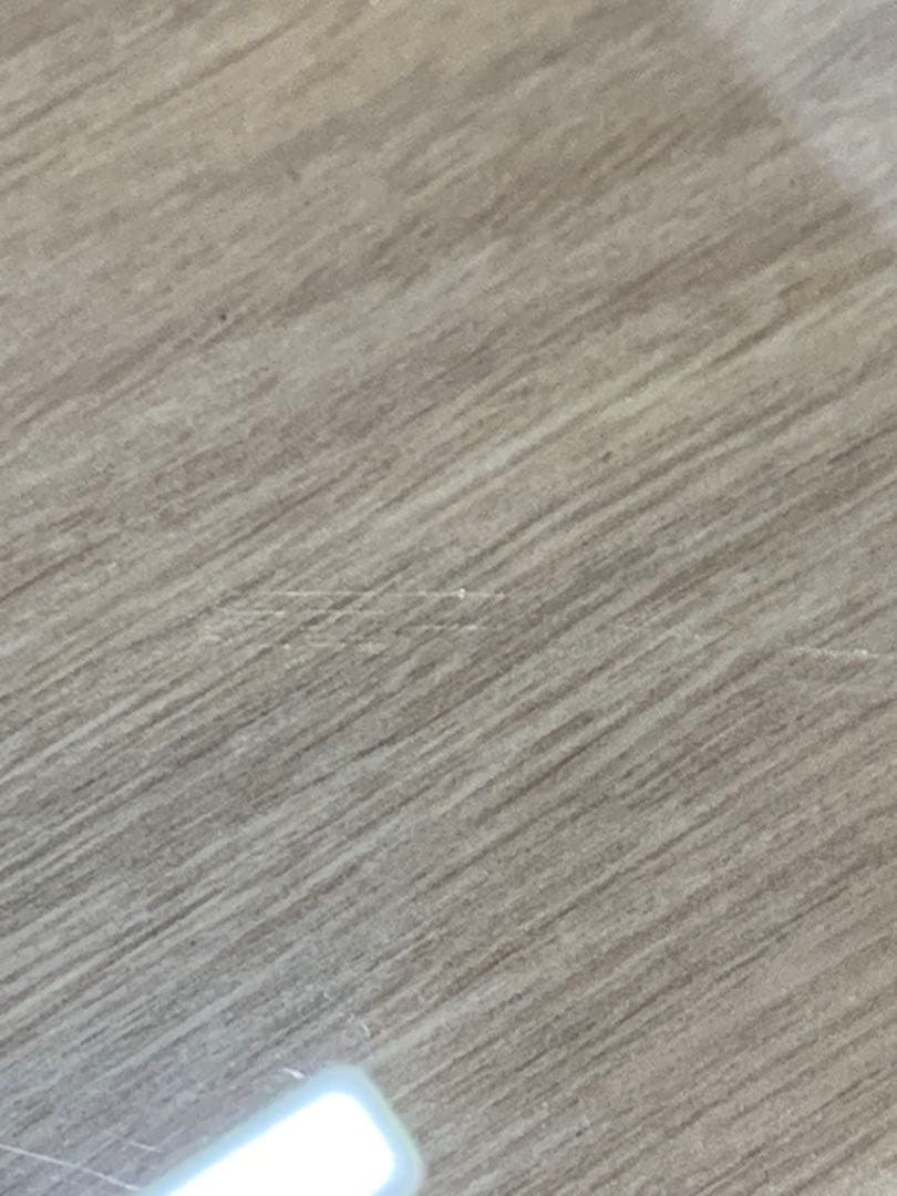 Glasia　水上育成用　６０×３０×１０ｃｍ　６０ｃｍ水槽　単体　沖縄別途送料