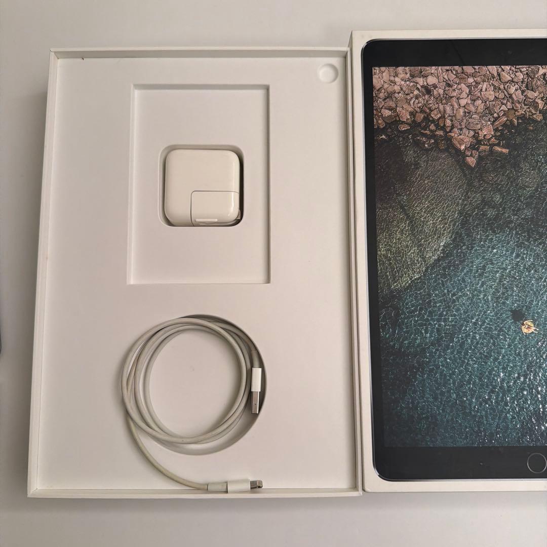 iPad Pro 10.5インチ 64GB Wi-Fiモデル MQDT2J/A