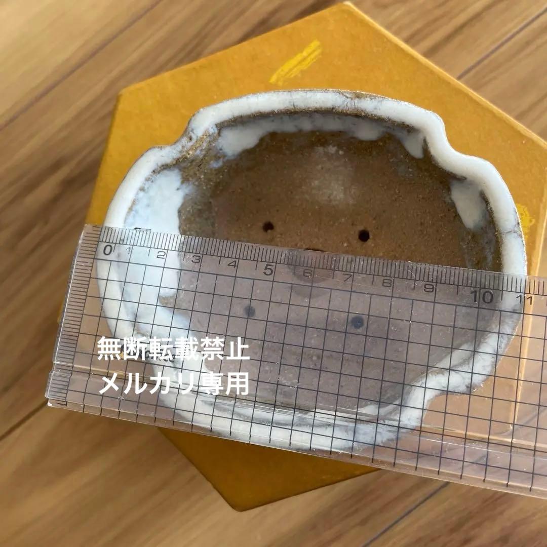 ミニ盆栽鉢　桑津香石　絵鉢　梅　鳥　雪　小品盆栽