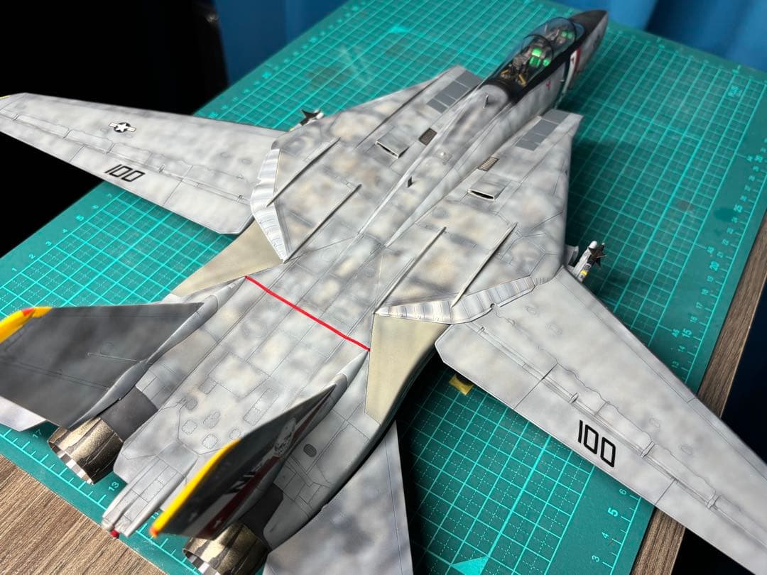 戦闘機　プラモデル　完成品　タミヤ　1/48　グラマン　F-14Dトムキャット