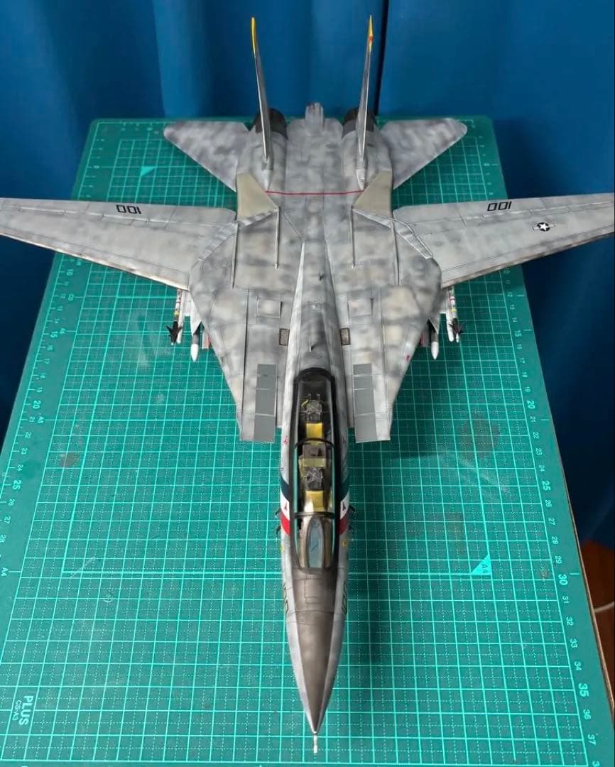 戦闘機　プラモデル　完成品　タミヤ　1/48　グラマン　F-14Dトムキャット