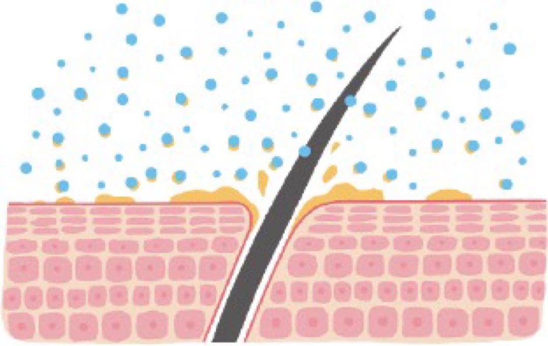 【SORAちゃんママ専用】マイクロバブルシャワーヘッド ピュアブル2 メタル