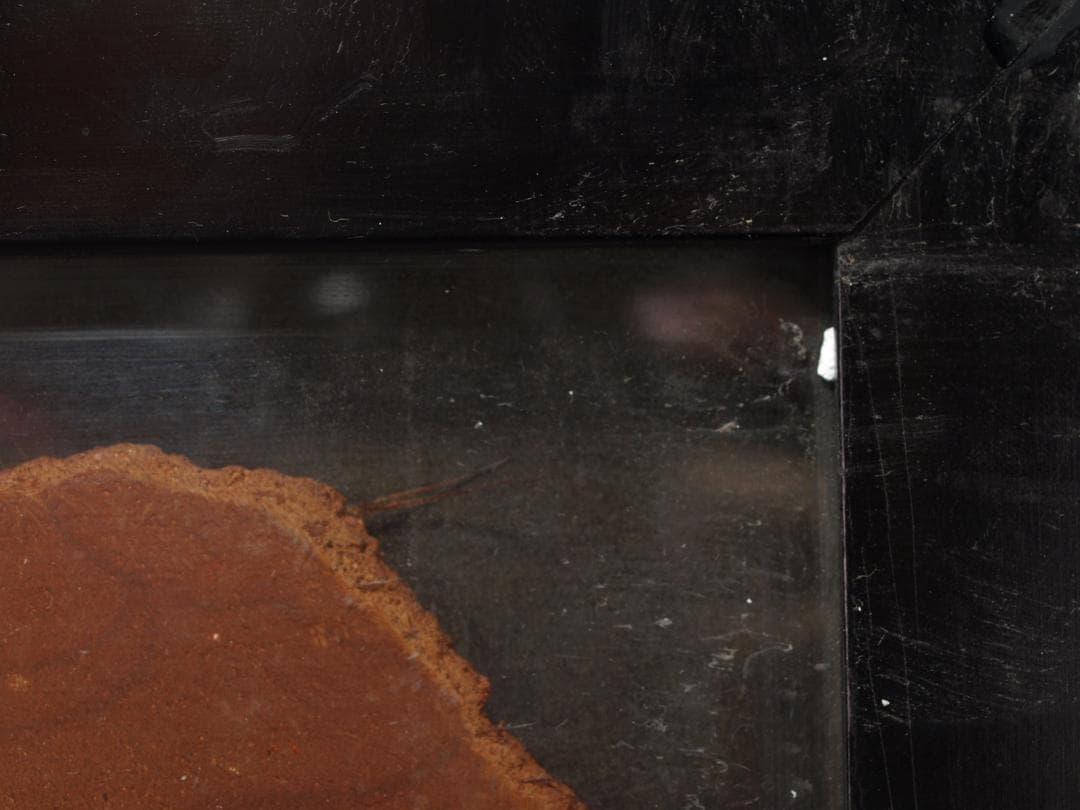 骨董市掘り出し品 中国唐時代　敦煌莫高窟壁画AK1905A7-2