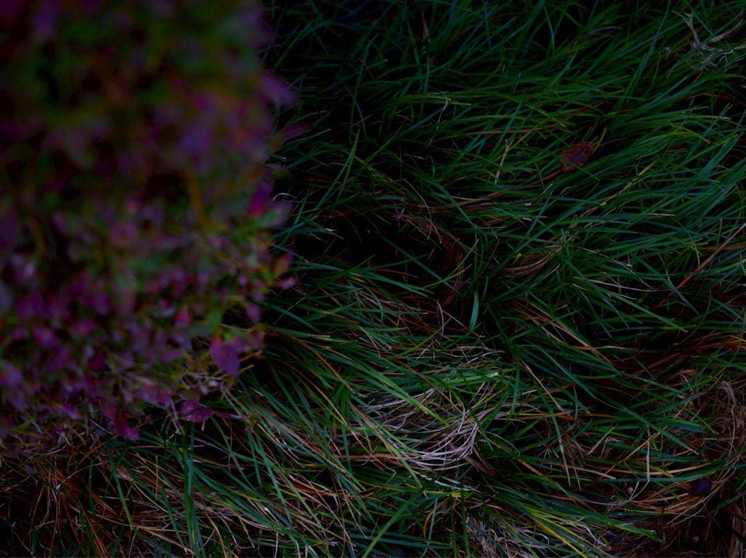 みお【美品】SIGMA 45mm F2.8 DG DN Lマウント