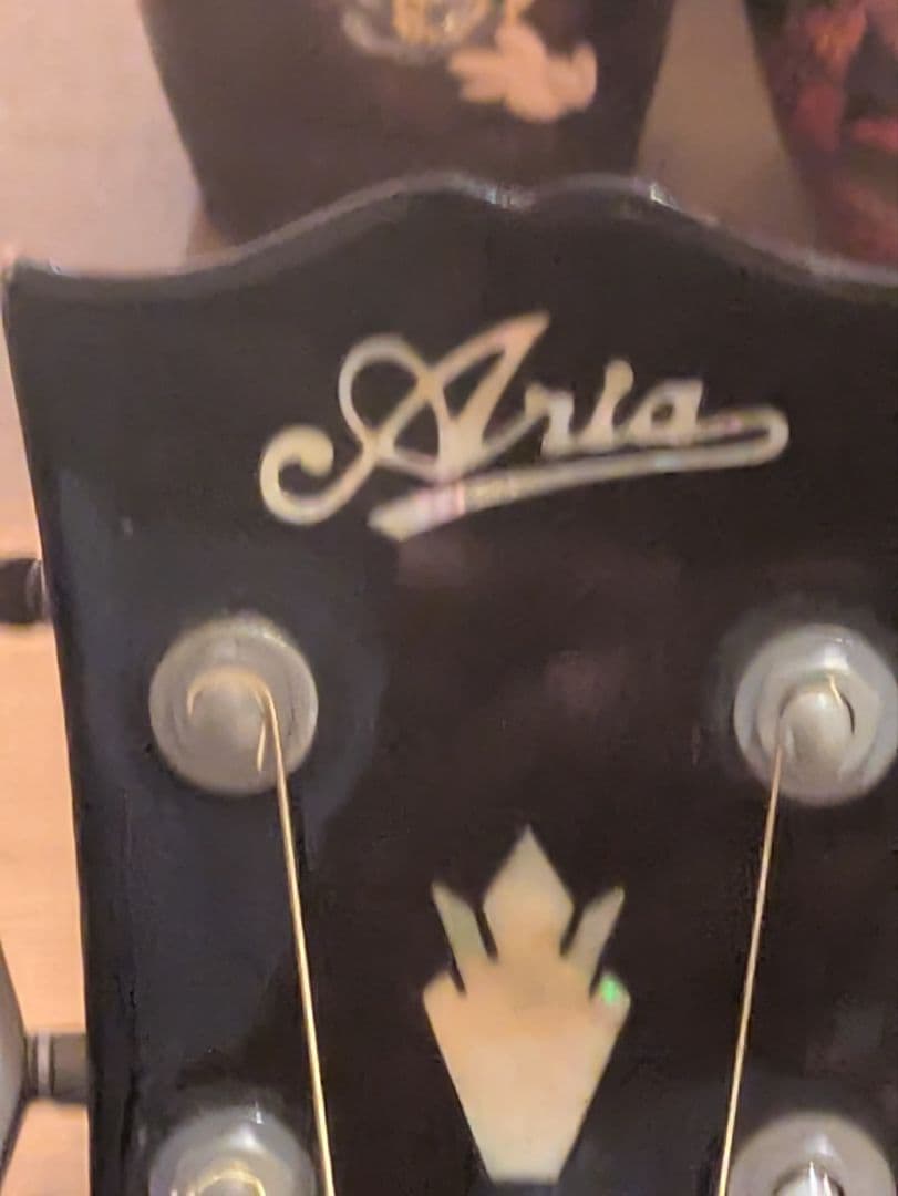 Aria WH30 アコースティックギター