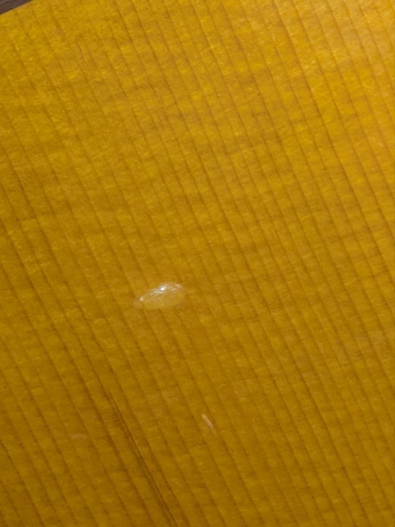 Aria WH30 アコースティックギター