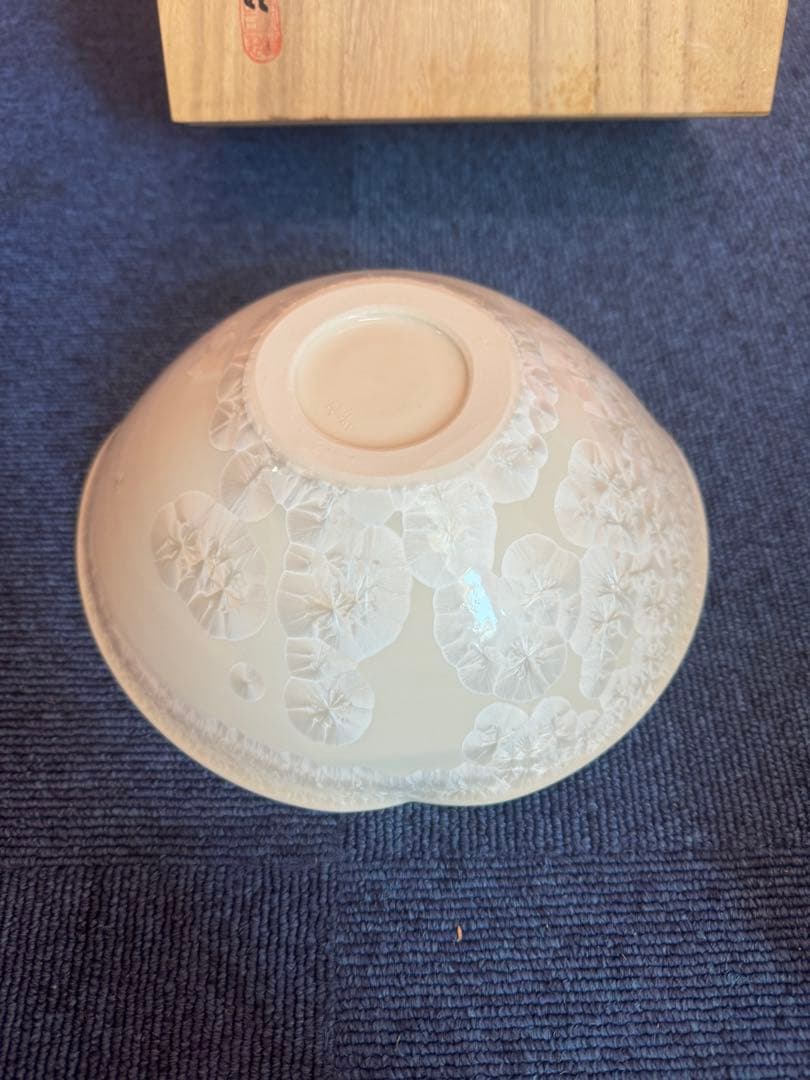 2025 平安橘吉　月華　鉢　未使用