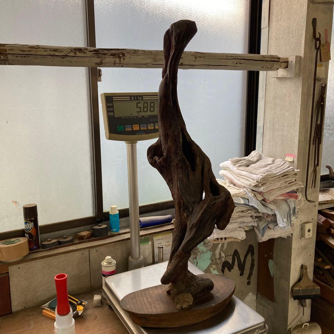 B 空洞美型 流木 枯木 古木 収集品 高さ84.5cm