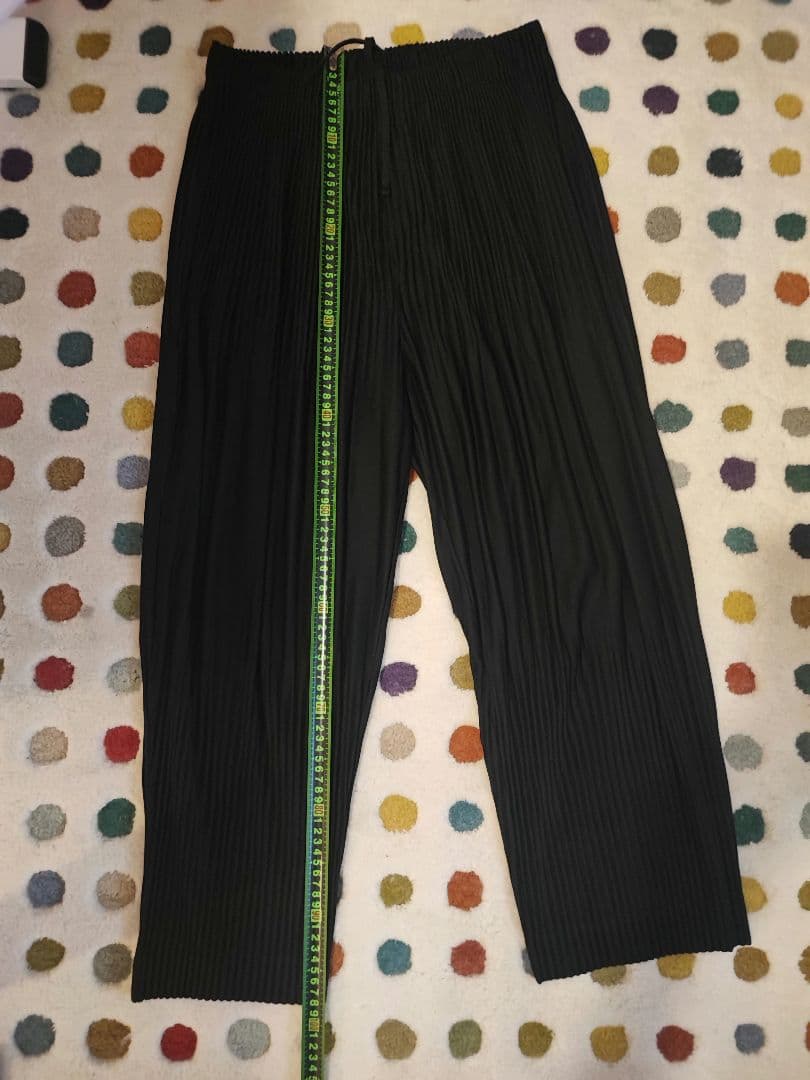 Homme Plisse イッセイミヤケ・パンツ