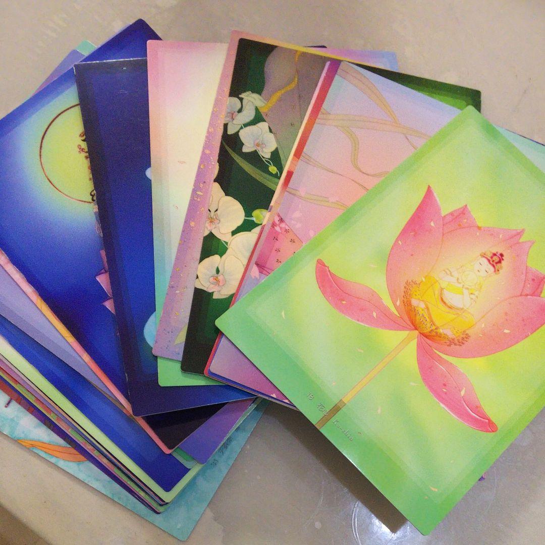 観音力カード  草場 一壽 【即日発送】