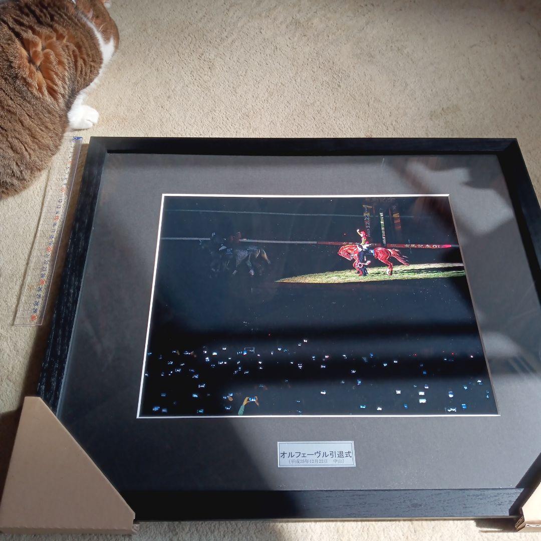 ユーキ　オルフェーヴル　引退式額装写真　レース写真同梱