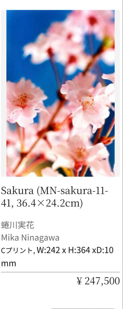 蜷川実花 Mika Ninagawa 桜 写真 GALLERY TAGBOAT