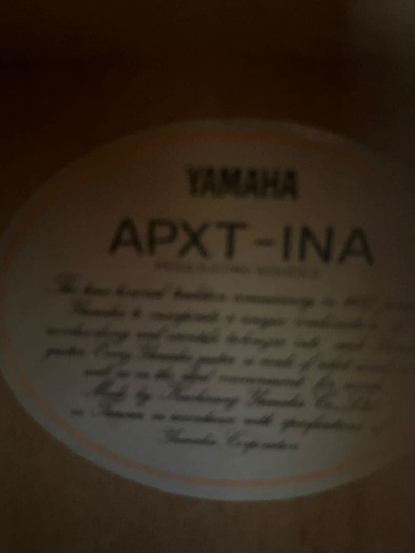 YAMAHA APXT-INA トラベルエレアコ ギター　ケース付