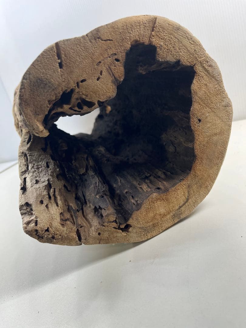 V95 アク抜き済み流木 爬虫類シェルター 登り木 インテリア 生け花