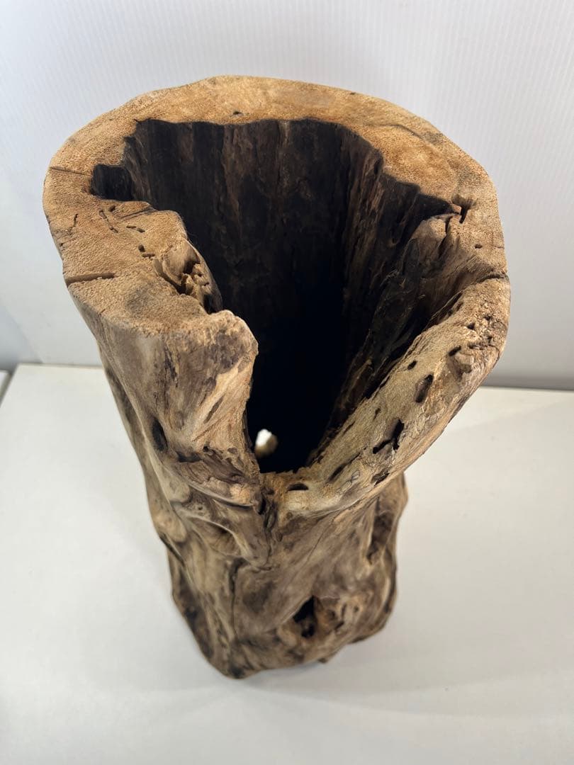 V95 アク抜き済み流木 爬虫類シェルター 登り木 インテリア 生け花