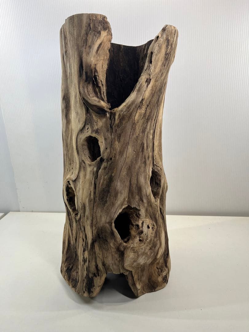 V95 アク抜き済み流木 爬虫類シェルター 登り木 インテリア 生け花