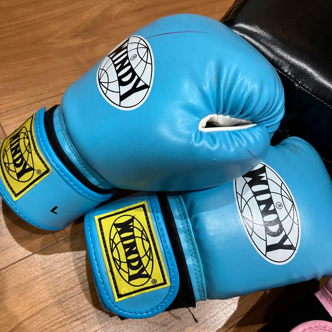⭐︎専用⭐︎WINDY ボクシンググローブ Lサイズ 青 ピンク 2セット　キッズ