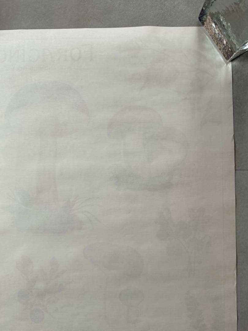 古着 ビンテージ USA きのこ 植物図鑑 サイケデリック ポスター 希少 美品