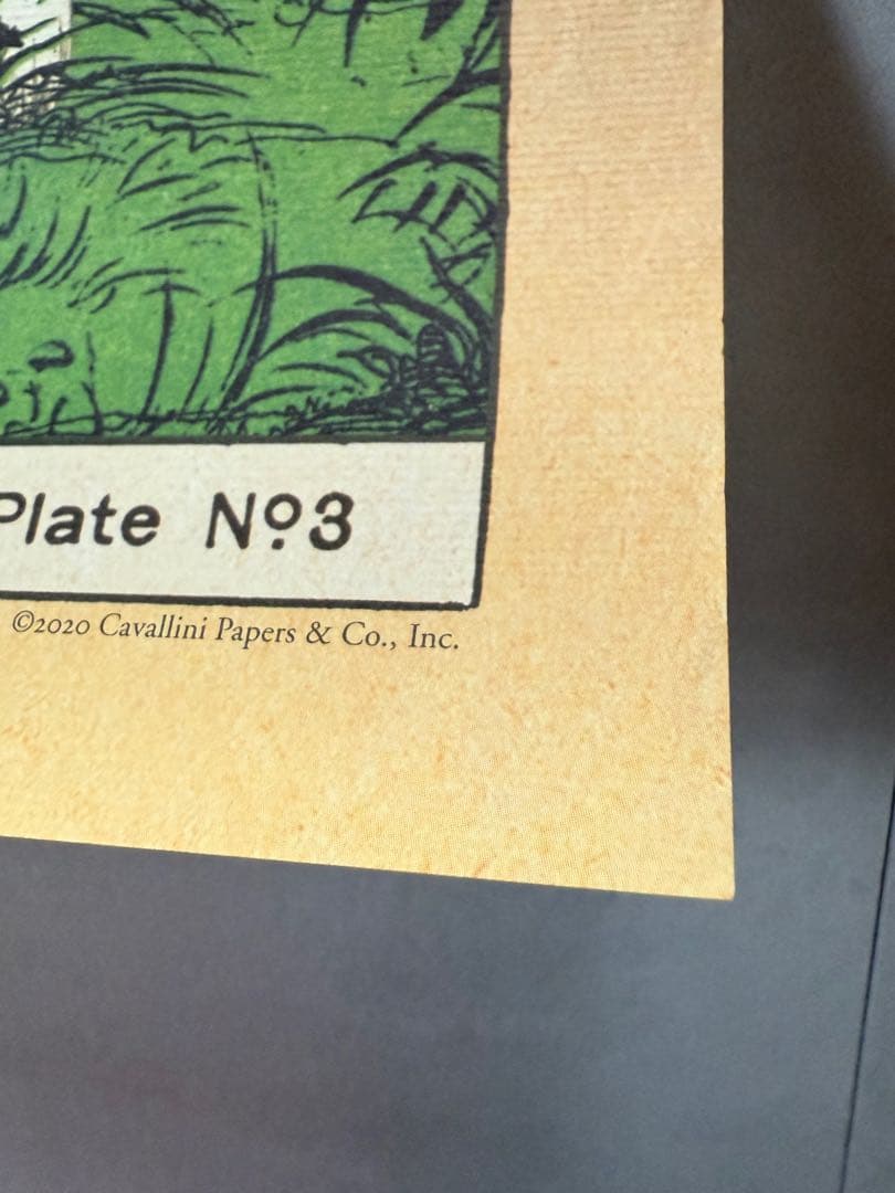 古着 ビンテージ USA きのこ 植物図鑑 サイケデリック ポスター 希少 美品