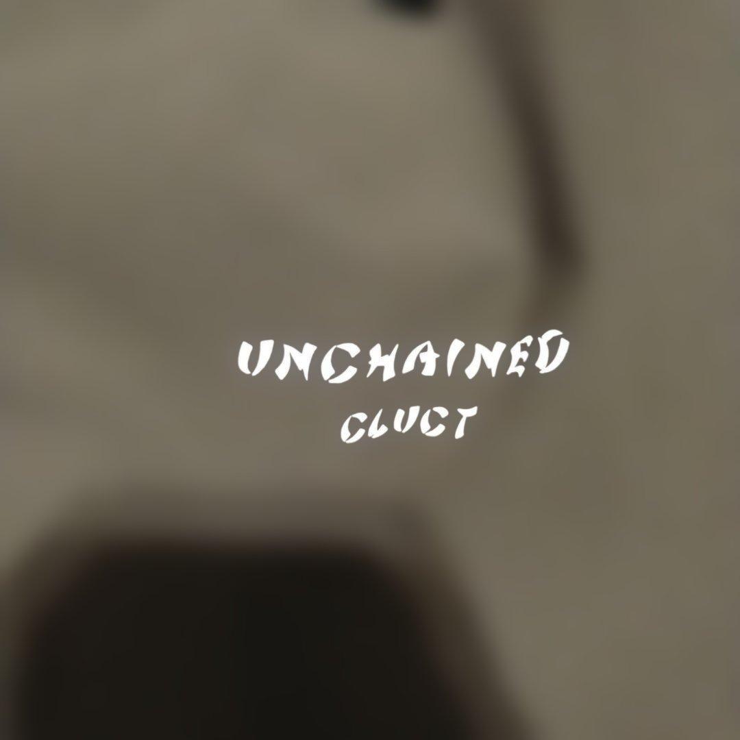 CLUCT オリーブ ボタン付きジャケット XLサイズ