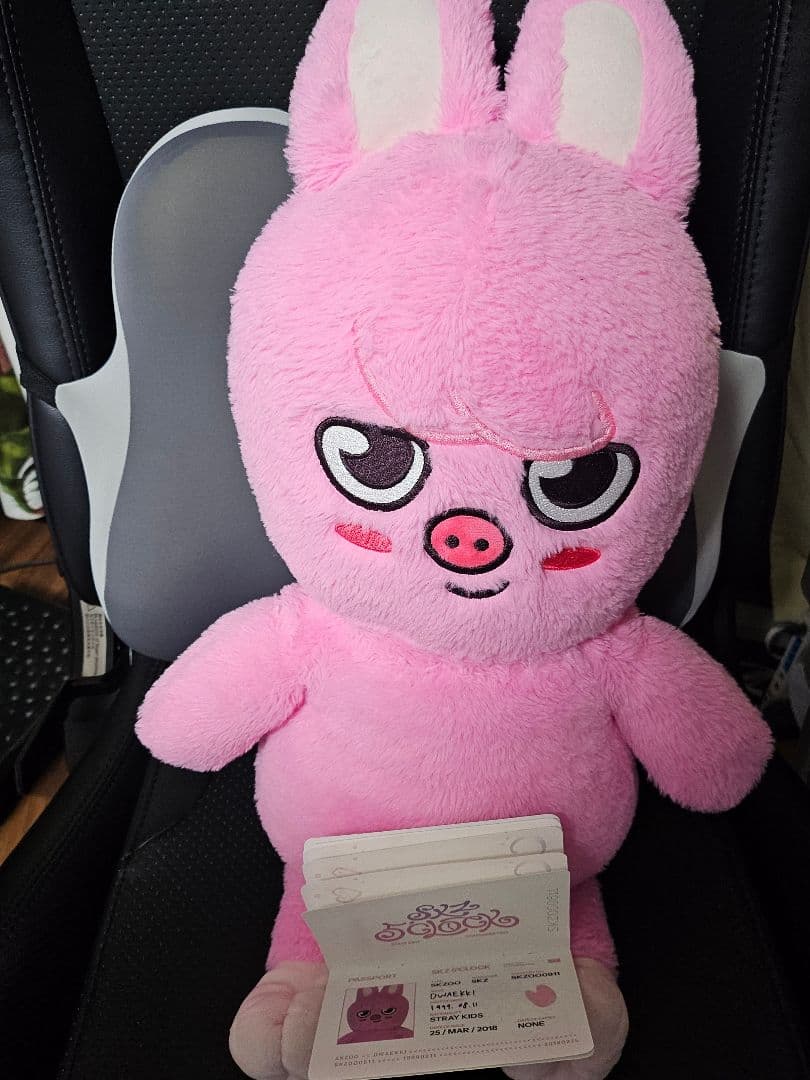 skzoo テディベア トェッキ straykids スキズ