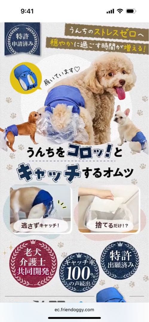 うんコロキャッチXSセット