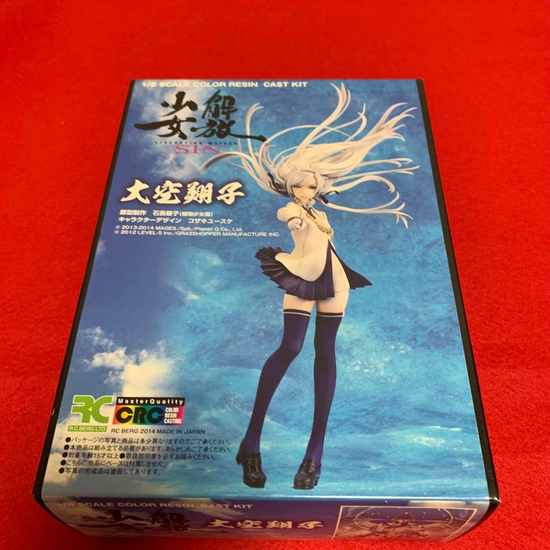 解放少女SIN 大空翔子 ガレージキット 新品・未組み立て 組み立て図付き