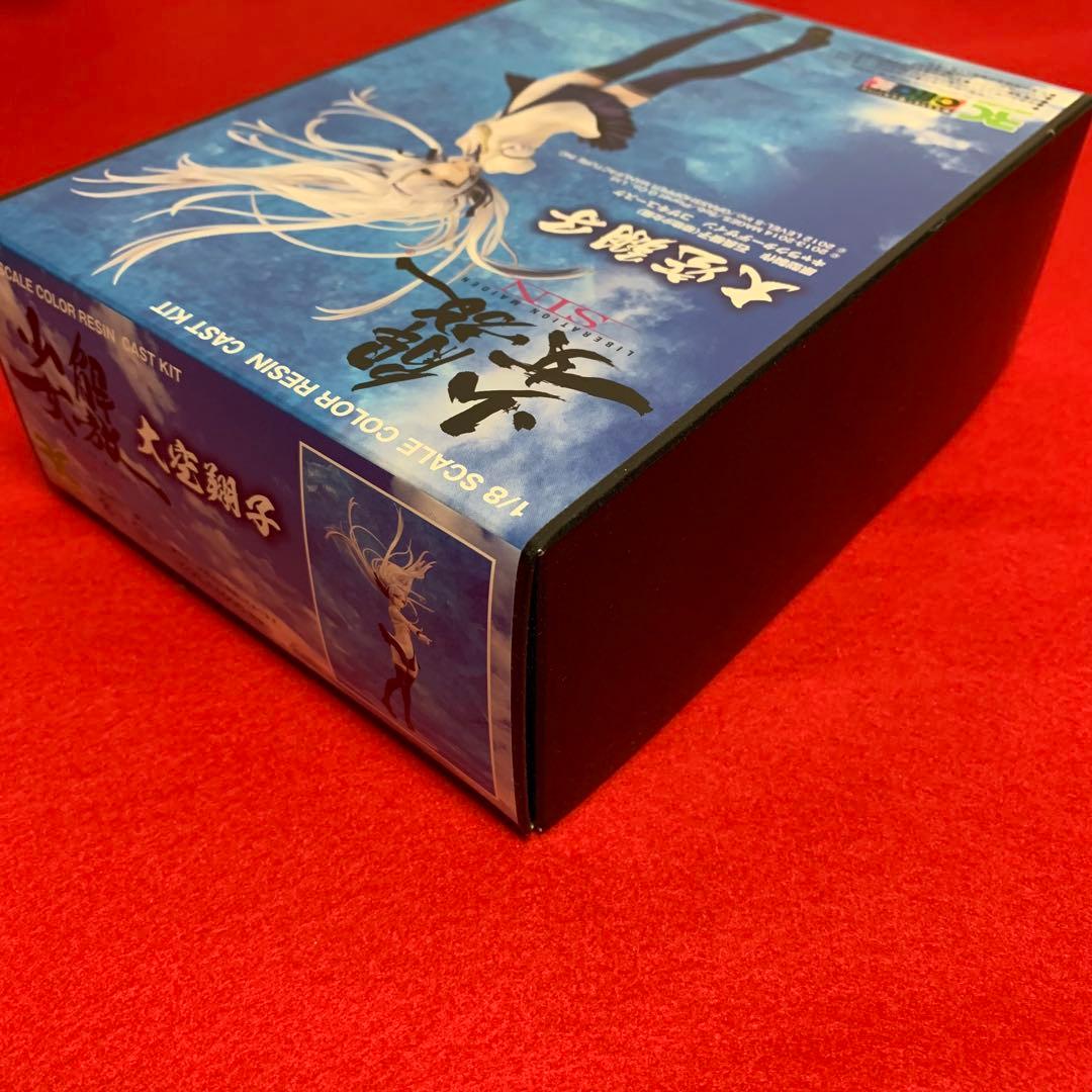 解放少女SIN 大空翔子 ガレージキット 新品・未組み立て 組み立て図付き
