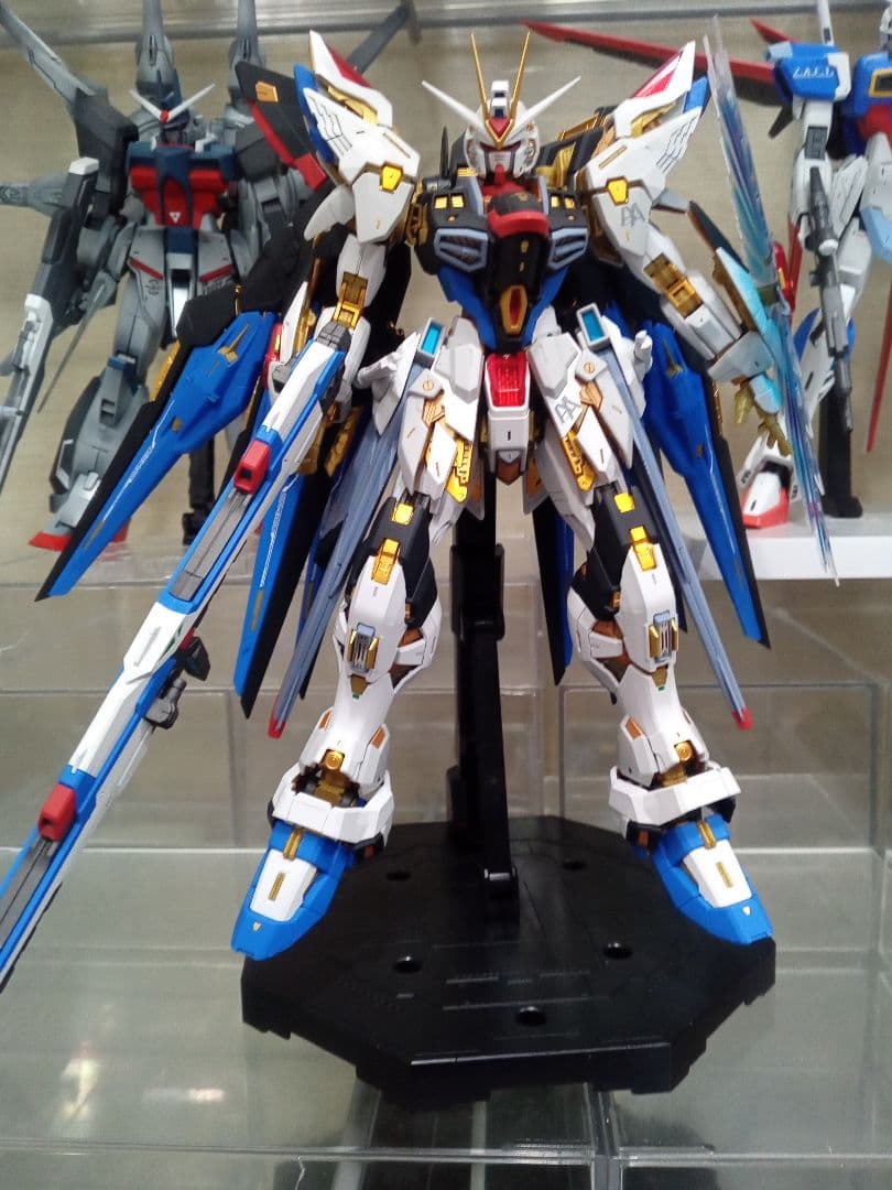 き*え様 ガンダムSEED系 1/100 MGEX MG ジャンクセット