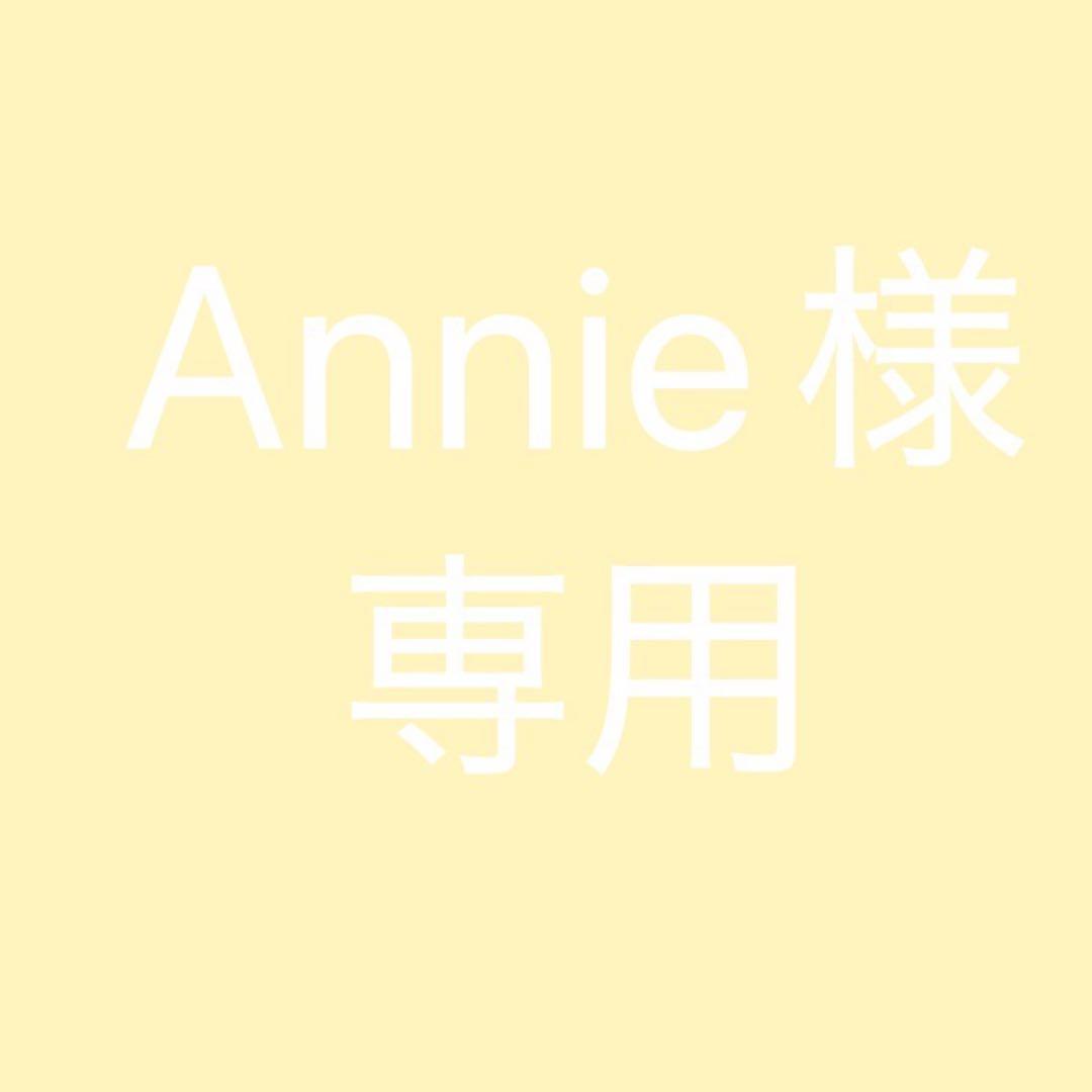 美容液 Annie