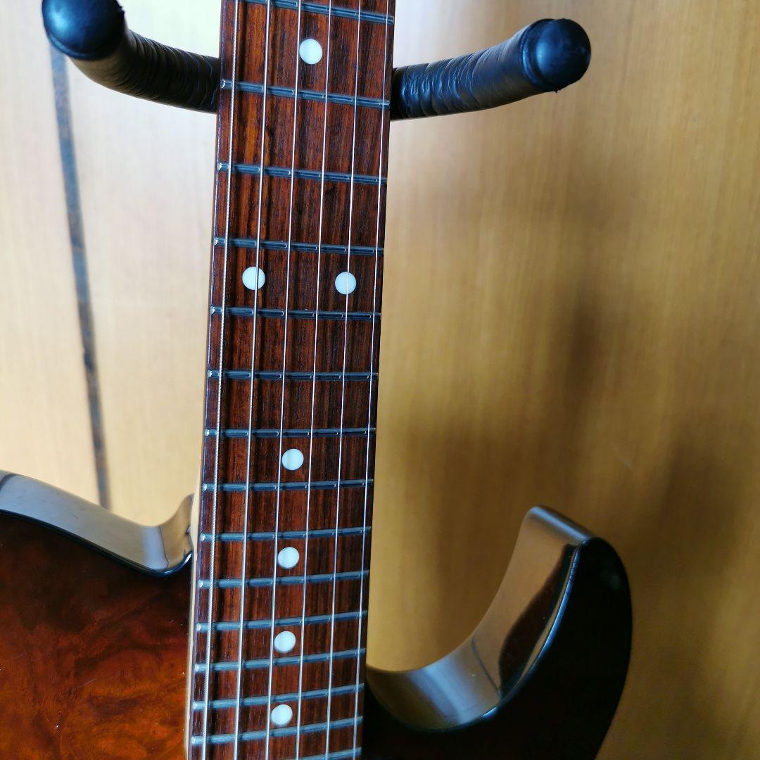 ギター FUJIGEN JIL2-EW1-G/IBS/01