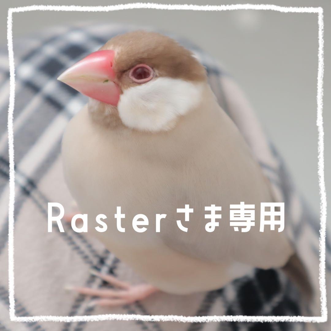 【Raster】ことりのおおきなあそびば