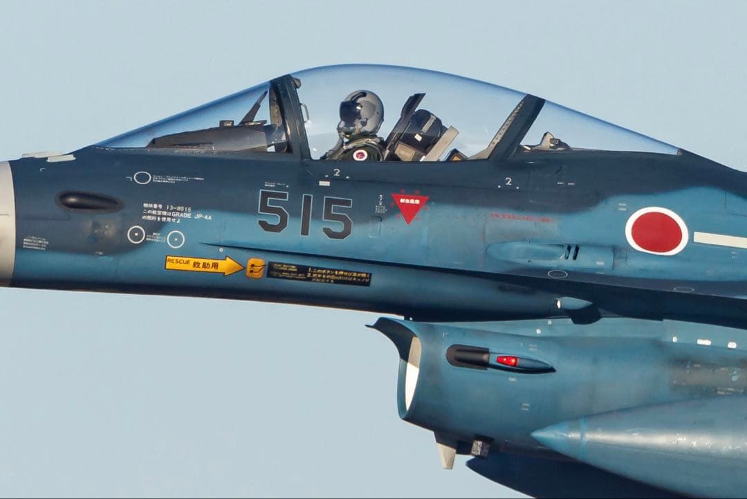 Canon EF500mm F4L IS USM 単焦点超望遠レンズ