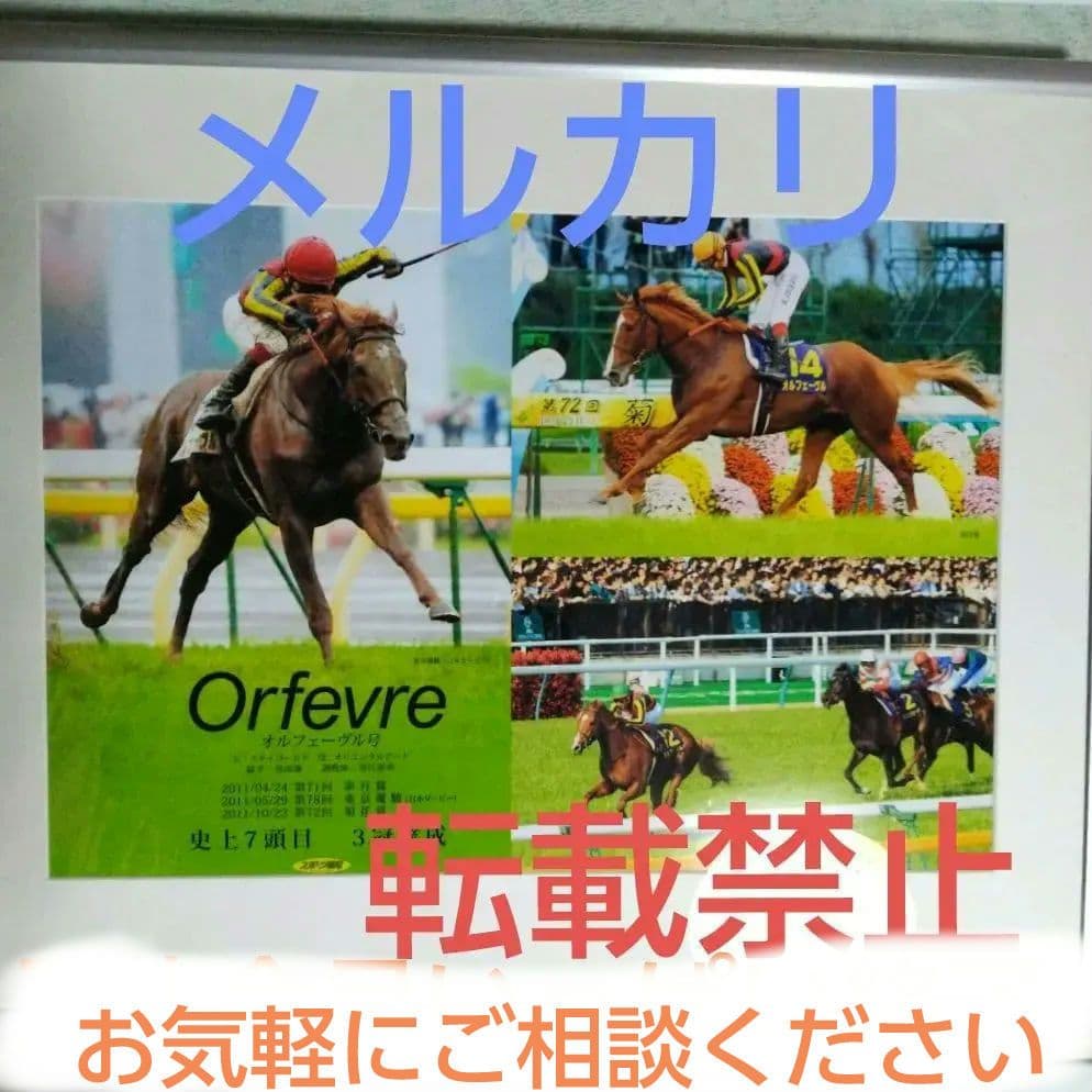 【希少品】▪オルフェーヴル☆三冠パネル
