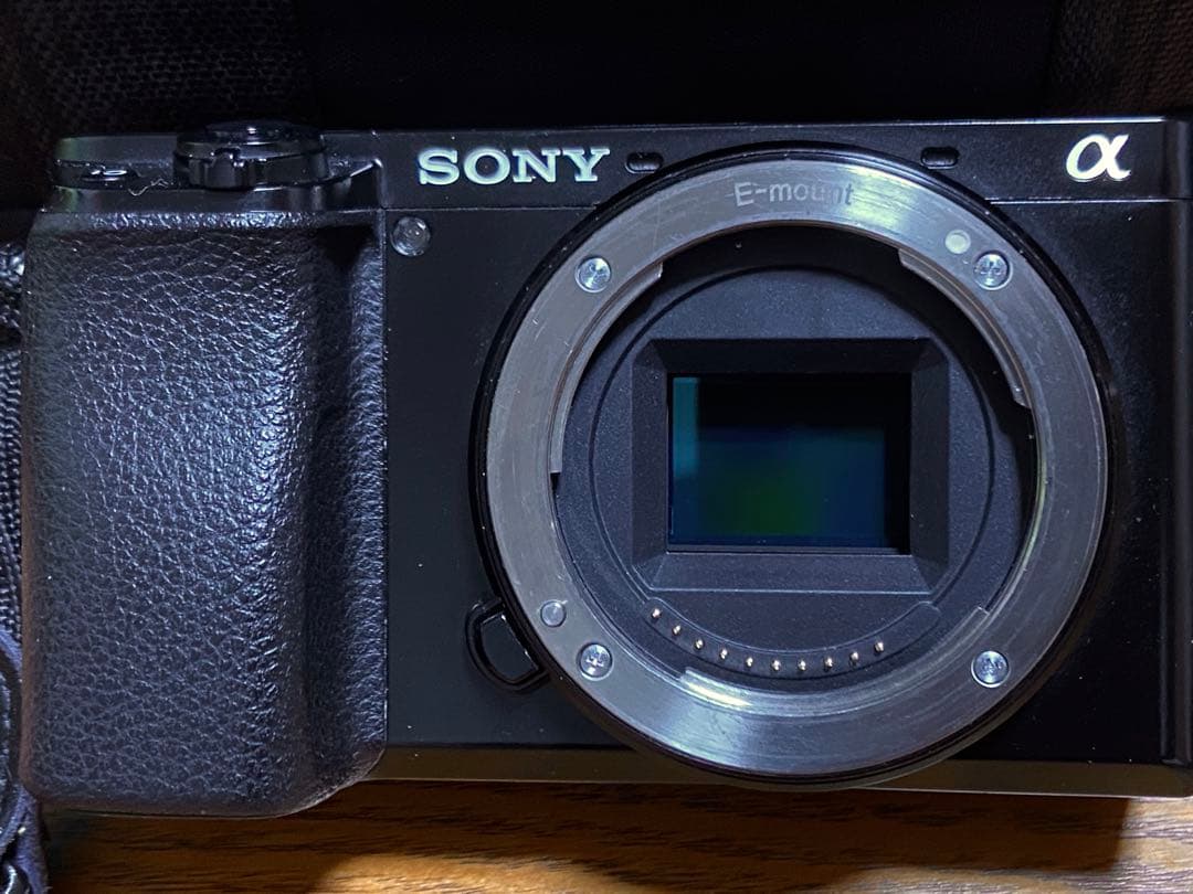 SONY α6100 ソニー　瞳AF リアルタイムトラッキング