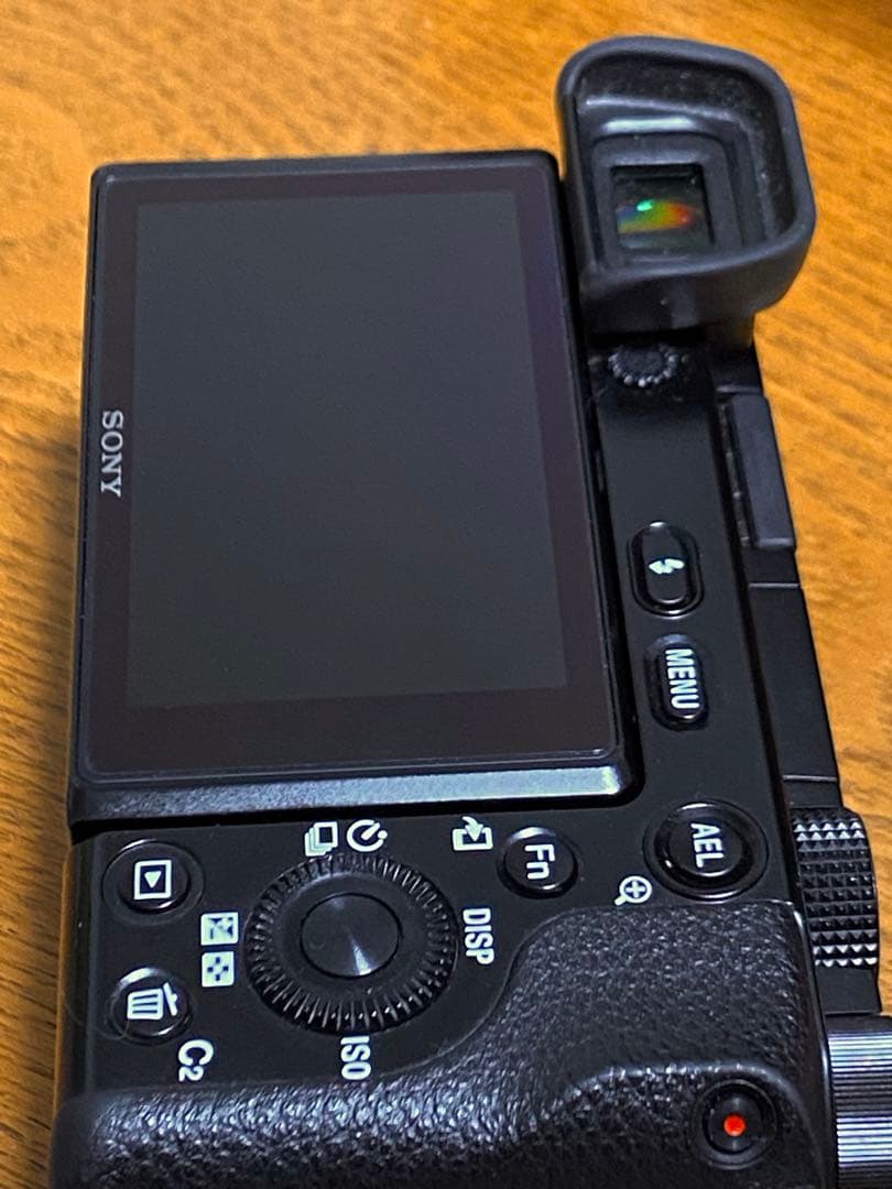 SONY α6100 ソニー　瞳AF リアルタイムトラッキング