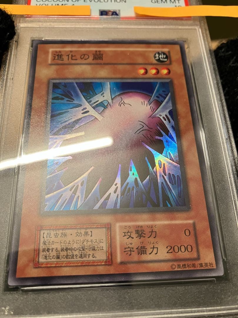 進化の繭　遊戯王　初期　PSA10