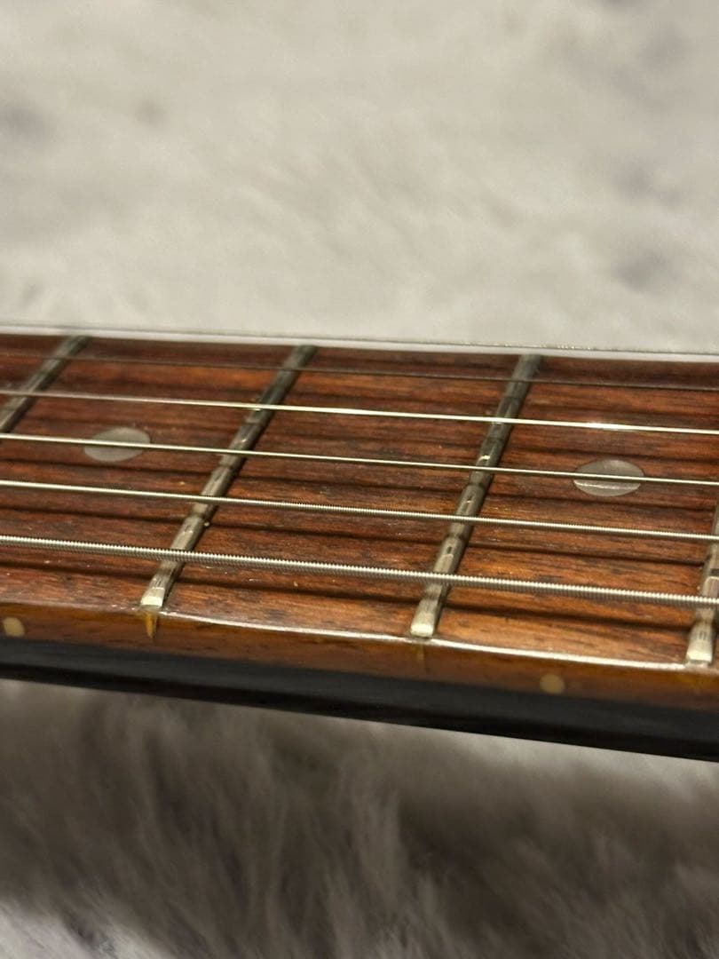 Bacchus Brian Flying V フライングV model