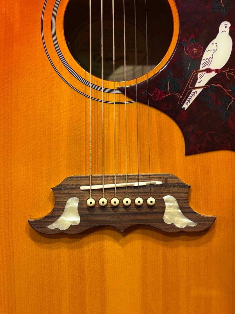 エ*バ様 Epiphone Dove Pro アコースティックギター