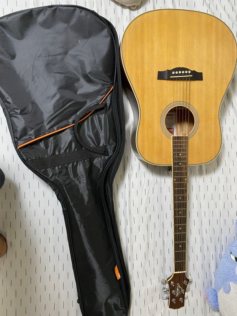 Ashton アコースティックギター ギターケース付き