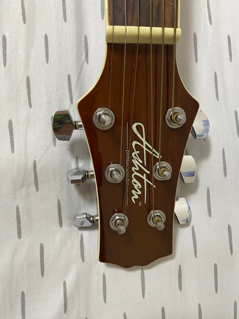 Ashton アコースティックギター ギターケース付き