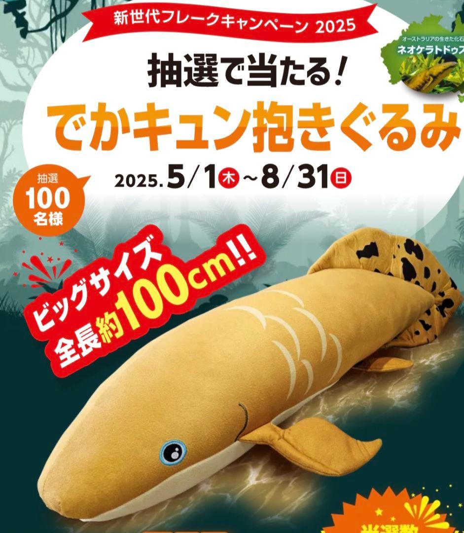 キョーリン でかキュン抱きぐるみ　ネオケラトドゥスぬいぐるみ