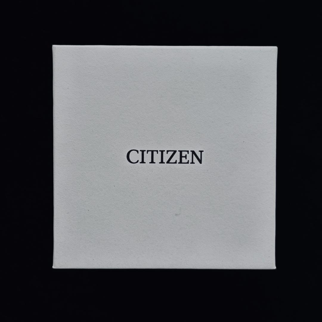 シチズン プロマスター メカニカルダイバー NB6025-59H