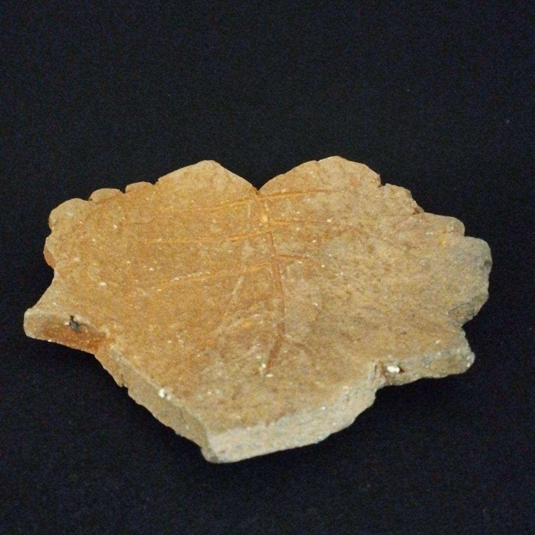 辻清明　信楽　木の葉皿