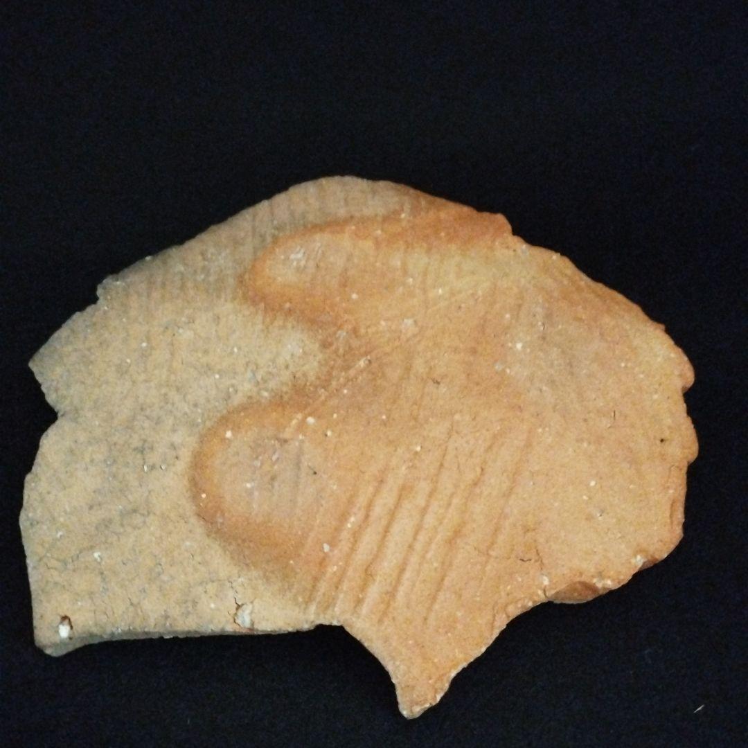 辻清明　信楽　木の葉皿