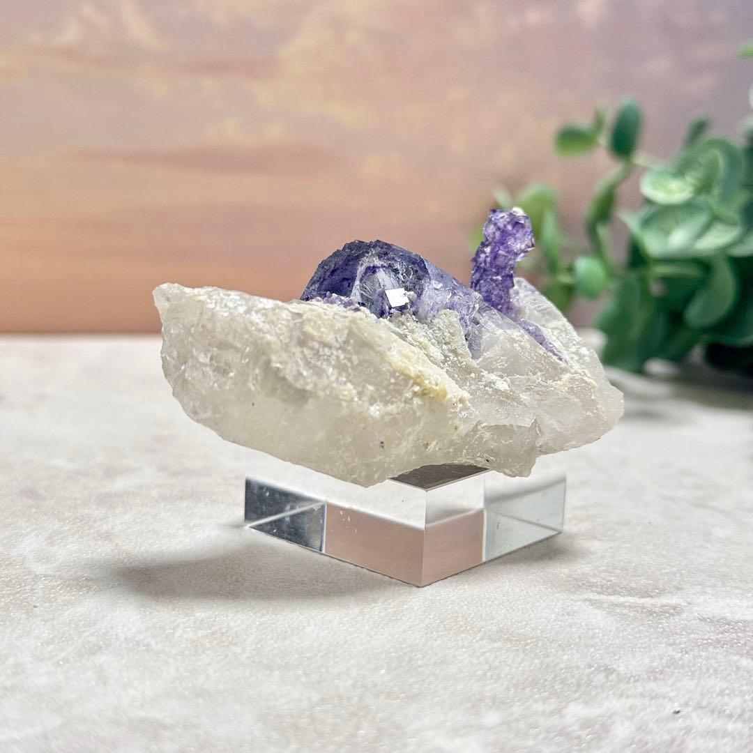 ◆【D018】針状鉱物入りフローライト ヤオガンシャン Aタイプ 原石 鉱物標本