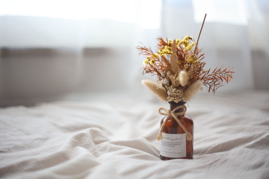 CANON FL 50mm F1.4 （Ⅰ） 【光学美品・分解清掃済】