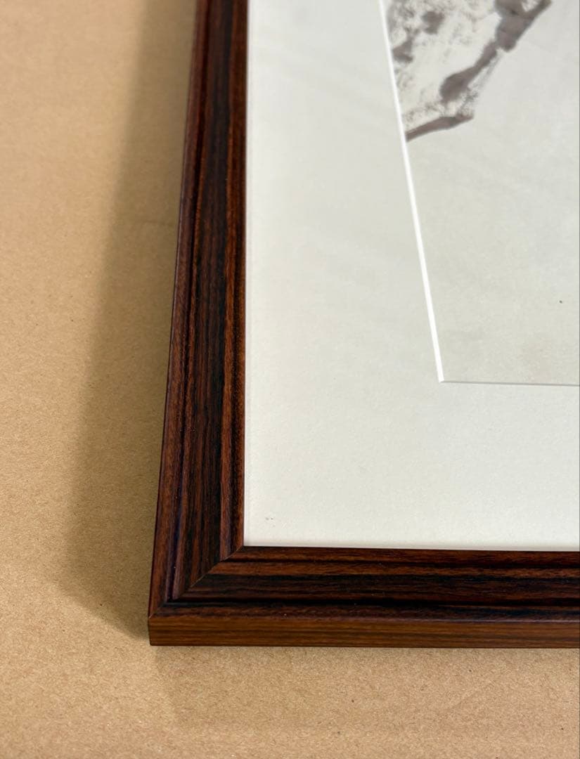 新品未使用　本格的中国画　水彩画 草花 額縁付き