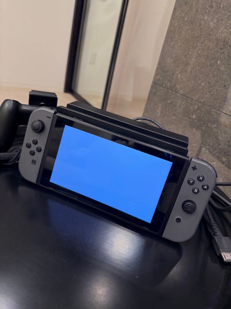 Nintendo Switch本体【グレーカラー】使用期間は約１年程