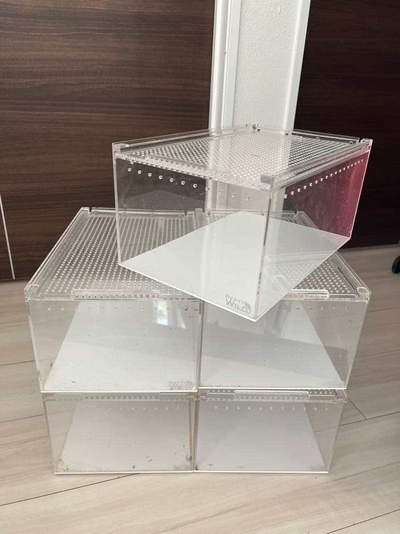 中古レプタイルボックス　5個